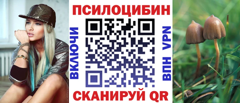 Псилоцибиновые грибы GOLDEN TEACHER  купить  цена  Жуковка 